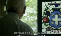 真实外星人爆料视频,神秘爆料视频曝光神秘宇宙来客